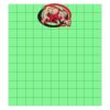11x12 DTF Transfer Thumbnail