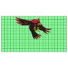 22" x 12" DTF Transfer Thumbnail