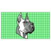 22" x 12" DTF Transfer Thumbnail