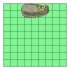 9" X 9" DTF Transfer Thumbnail