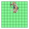 9" X 9" DTF Transfer Thumbnail