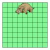 9" X 9" DTF Transfer Thumbnail