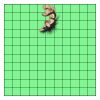 11" X 11" DTF Transfer Thumbnail