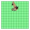 11" X 11" DTF Transfer Thumbnail