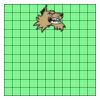11" X 11" DTF Transfer Thumbnail