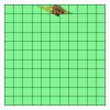 11" X 11" DTF Transfer Thumbnail