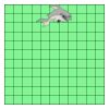 11" X 11" DTF Transfer Thumbnail