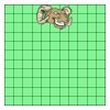 11" X 11" DTF Transfer Thumbnail