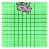 11" X 11" DTF Transfer Thumbnail