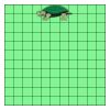 11" X 11" DTF Transfer Thumbnail
