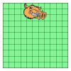 11" X 11" DTF Transfer Thumbnail